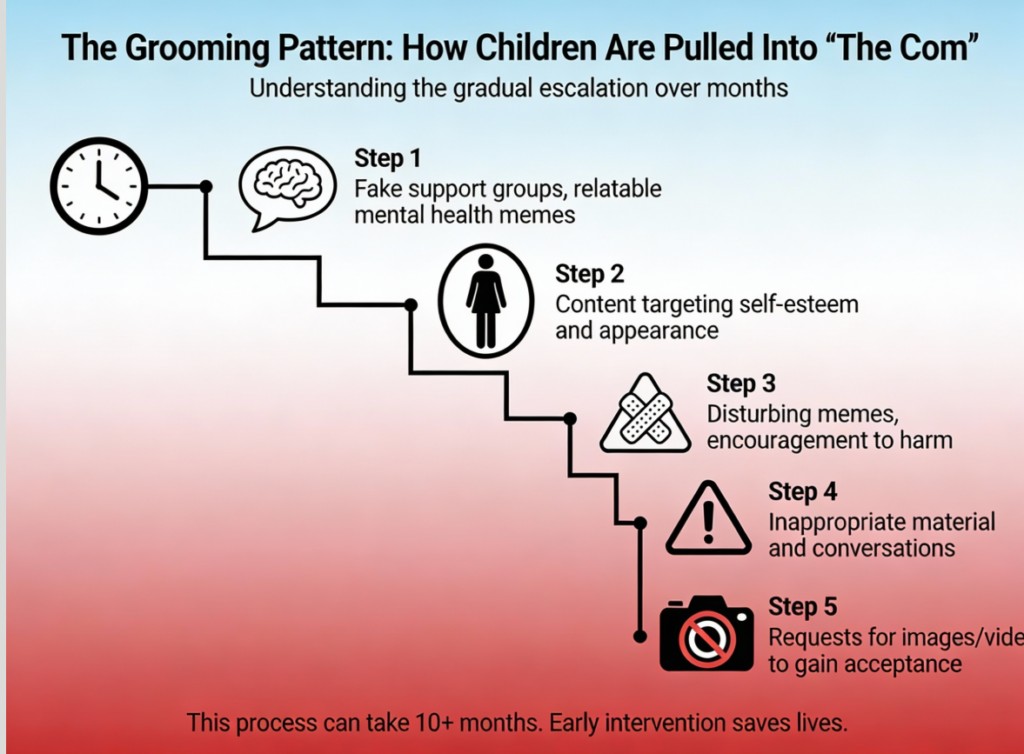 online grooming signs